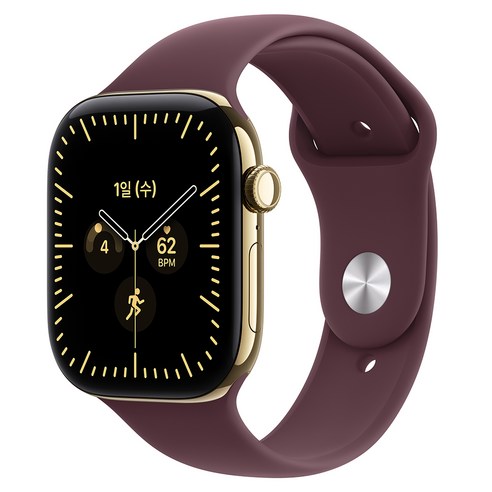 Apple 2026 애플워치 시리즈 12, 래디언트 골드, 46mm, GPS+Cellular, 티타늄, 버건디 스포츠 밴드, M/L
