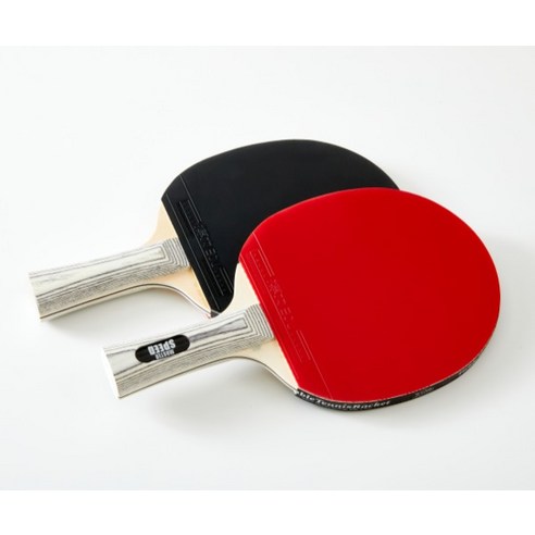 부담없이 시작하는 탁구, 온 가족이 함께 즐기는 건강한 취미!