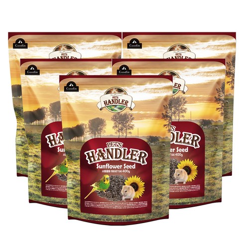 펫츠핸들러 앵무새 영양모이 해바리기씨, 400g, 5개