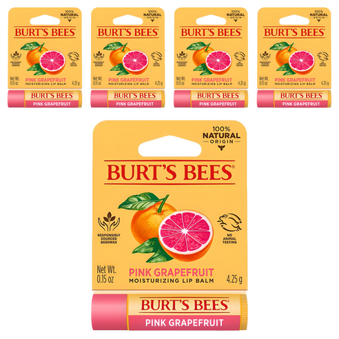 버츠비 모이스춰라이징 립밤, 핑크 그레이프 후르츠, 4.25g, 5개