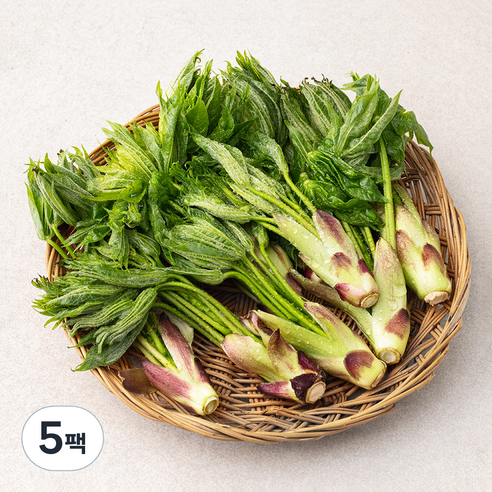 국내산 개두릅, 150g, 5팩