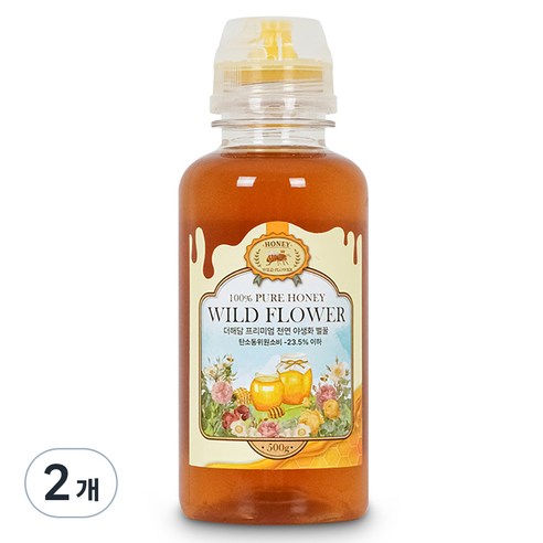 더해담 프리미엄 야생화 토종벌꿀, 500g, 2개