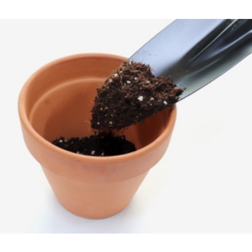 당신의 정원을 위한 완벽한 선택