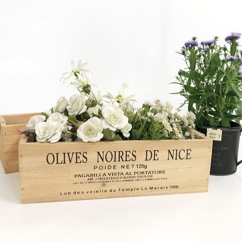 자연의 아름다움을 담은, 공간을 위한 따뜻한 선물