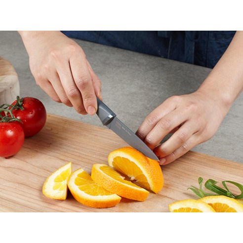 싱그러움을 더하는 테팔 프레쉬키친 과도