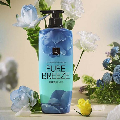 프리미엄 향기로 일상을 특별하게