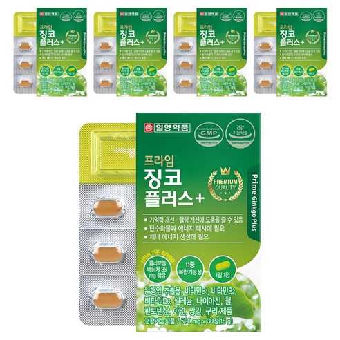 일양약품 프라임 징코 플러스, 30정, 5개