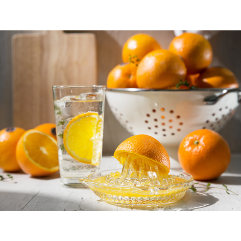 달콤한 오렌지의 매력