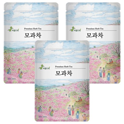 아름드레 삼각티백 모과차, 2g, 25개입, 3개