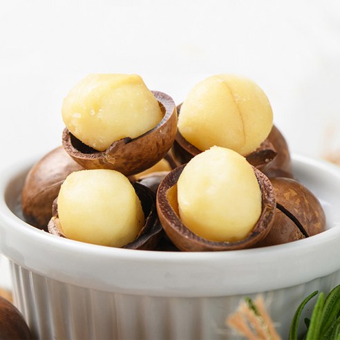 고소한 행복, 투데이넛 마카다미아로 채우는 일상의 풍요