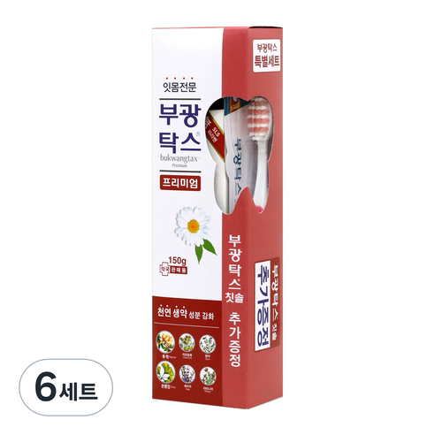 부광약품 프리미엄 치약 150g + 칫솔 랜덤발송, 6세트