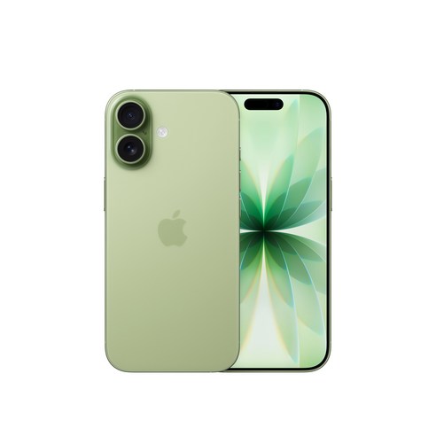 Apple 아이폰 17 자급제, 세이지, 256GB