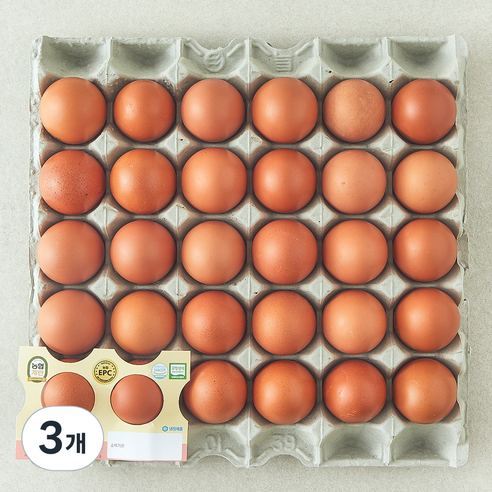 농협 EPC 무항생제 인증 특란 1.8kg, 3개, 30구