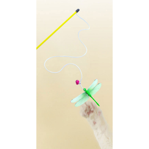 伴侶  寵物用品  貓  用品  玩具  寵物貓  貓  貓  小貓  小貓