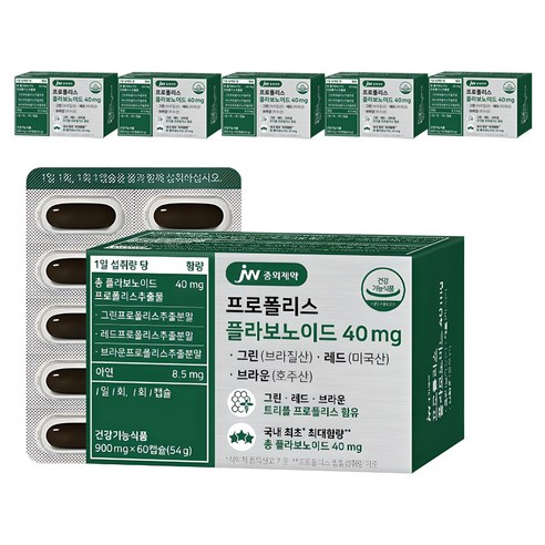 JW중외제약 프로폴리스 플라보노이드 40mg, 60정, 6개