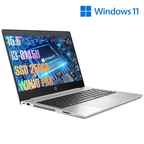 HP 프로 노트북 450 G6 6KN13PA (i3-8145U 39.62cm WIN10 Pro), 윈도우 포함, 256GB, 8GB