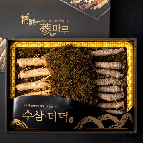 추석선물세트  몸애조화 수삼더덕 혼합 선물세트, 750g, 1세트