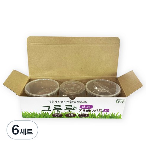 힐링타임 그루루 캣그라스 재배세트 3p, 보리, 6세트
