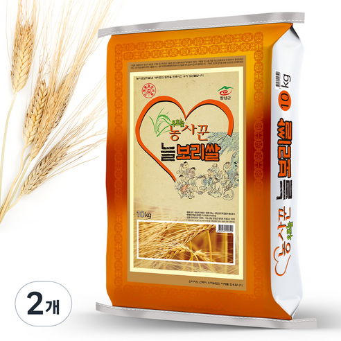 농사꾼 늘보리쌀, 10kg, 2개