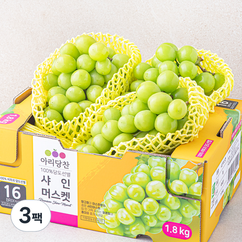 아리당찬 비파괴 당도선별 샤인머스켓, 1.8kg, 3팩
