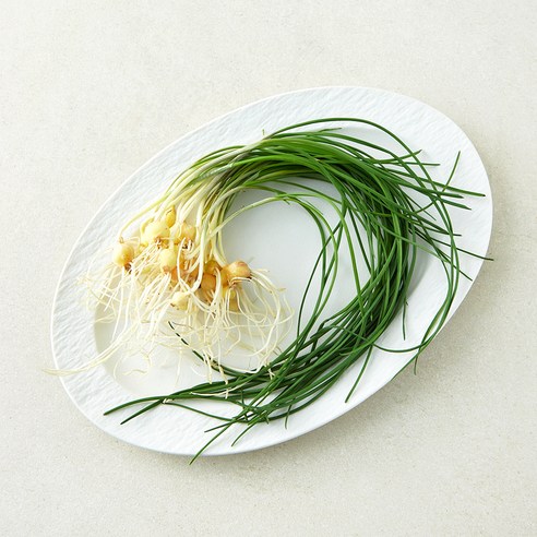 친환경 세척 달래