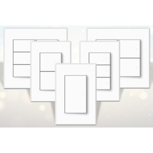 섬세한 손길로 완성하는 공간의 품격, 에이스 1로 스위치 2구