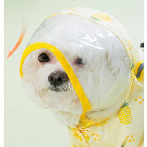 로커스 강아지 우비 - 반려동물을 위한 사계절용 아우터