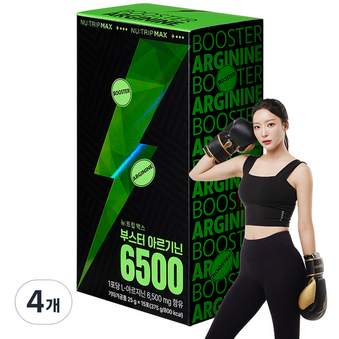 뉴트립 부스터 아르기닌 6500 25 g*15포, 4개, 375g