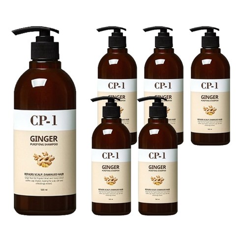 씨피원 진저 퓨리파잉 샴푸, 500ml, 6개