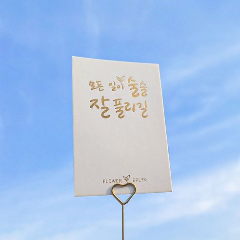 이플린의 눈부신 오로라 조화 카네이션 꽃다발로 홈을 장식하세요