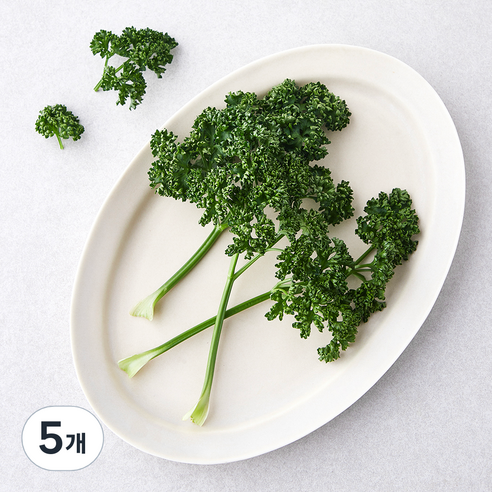 국내산 파슬리, 15g, 5개