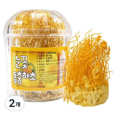 동광한방몰 눈꽃동충하초, 40g, 2개