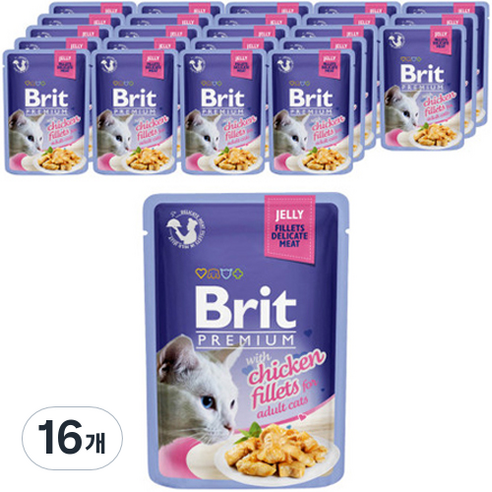 브리트 캣 프리미엄 파우치 습식사료 젤리 치킨, 85g, 16개