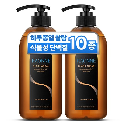 라온느 블랙 아르간 고영양 약산성 단백질 샴푸 미용실 극손상 모발용, 500ml, 2개