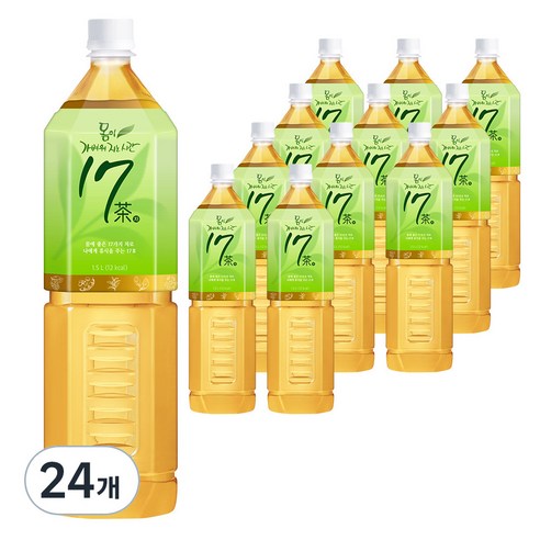 17차 몸이 가벼워지는 시간, 1.5L, 24개