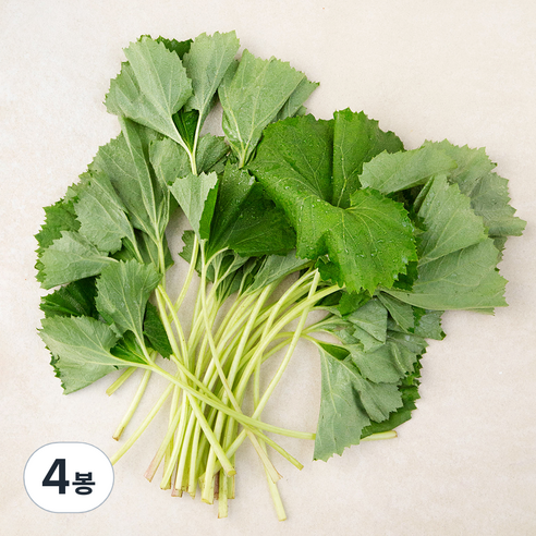 남해 머위, 150g, 4봉