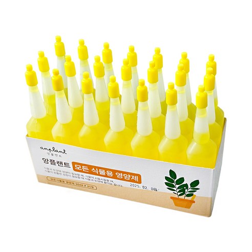 물 주듯 꽂기만 하면 끝! 초보자 필수 영양제 - 1