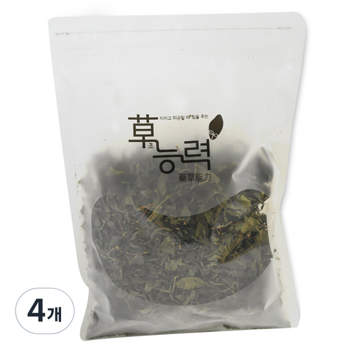 초능력 녹차, 100g, 4개
