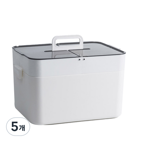 따니네 가정용 비상약 정리함 BGN100 화이트, 5개