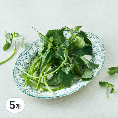 국내산 방아잎, 50g, 5개