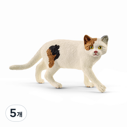 슐라이히 아메리칸 쇼트헤어 고양이 SL13894, 5개
