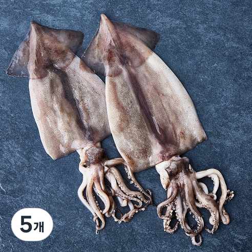 부산 13번 중매인 산지직송 해동 손질 오징어 (냉장), 240g, 5개