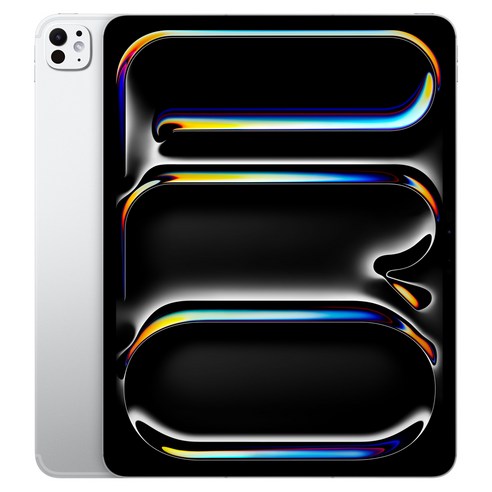 Apple 정품 2024 아이패드 프로 13 M4칩 Nano-texture 글래스, 실버, 1TB, Wi-Fi