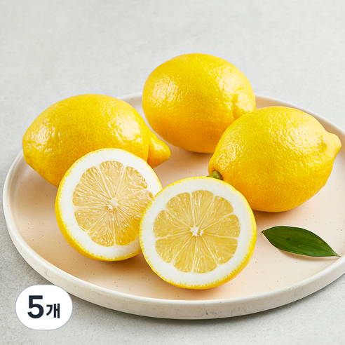곰곰 칠레산 레몬, 500g, 5개