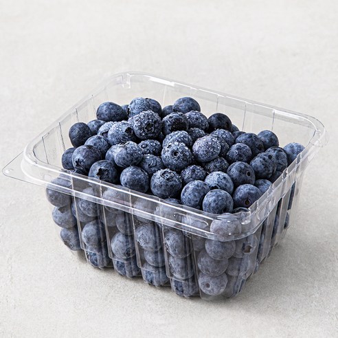 곰곰 친환경 인증 블루베리 대, 250g, 1팩