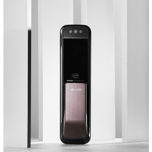 얼굴인식으로 시작하는 스마트한 현관, 솔리티 WP-500A