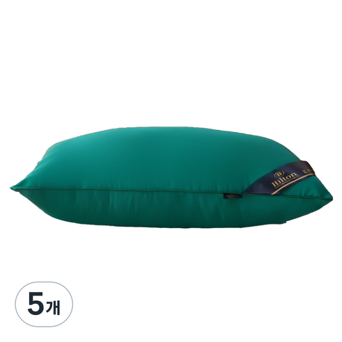 비투윈 편안한 베개솜 600g, 그린, 5개
