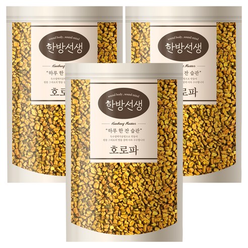 한방선생 호로파 씨앗 특품, 600g, 3개