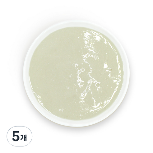 짱죽 유아용 실온 이유식 초기 미음, 160g, 5개, 사과미음