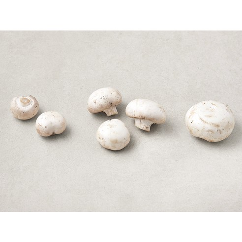 못생김 속에 숨겨진 놀라운 맛, 양송이버섯의 재발견